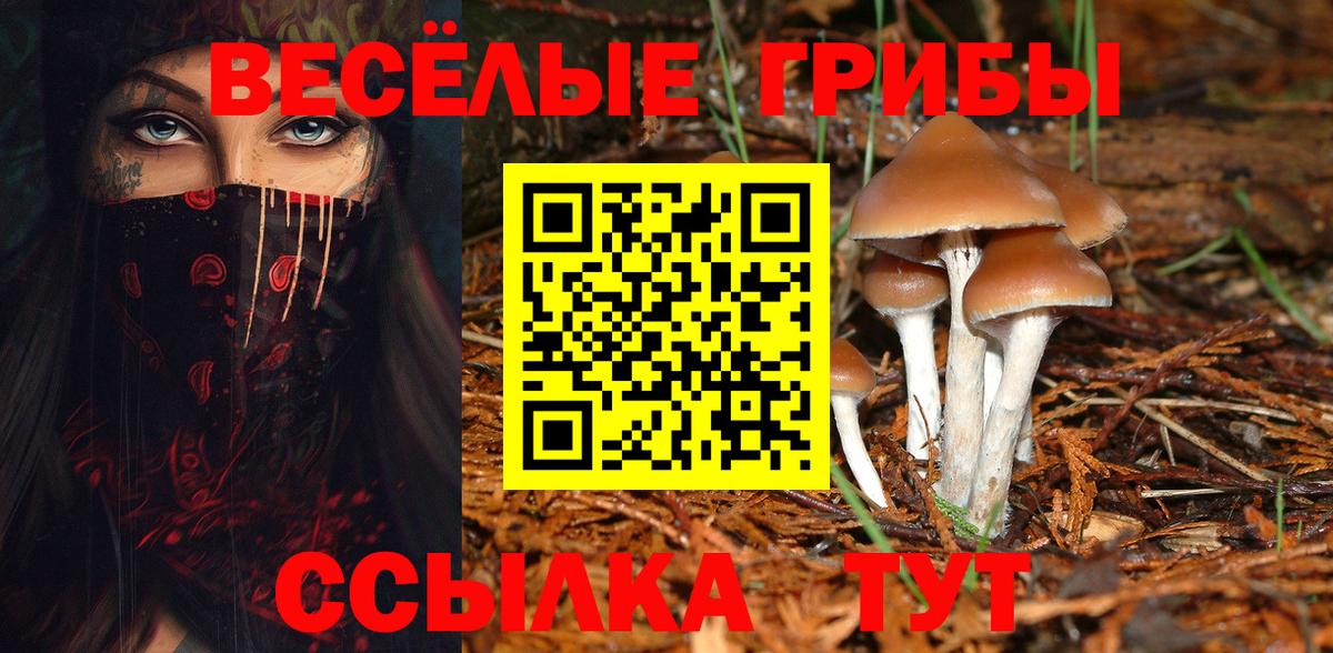 Галлюциногенные грибы прущие грибы  Вход с VPN  Псилоцибиновые грибы GOLDEN TEACHER  Петрозаводск 