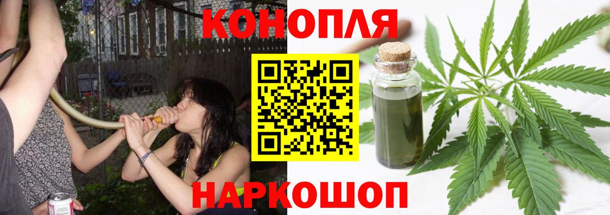 Бошки Шишки OG Kush Петрозаводск